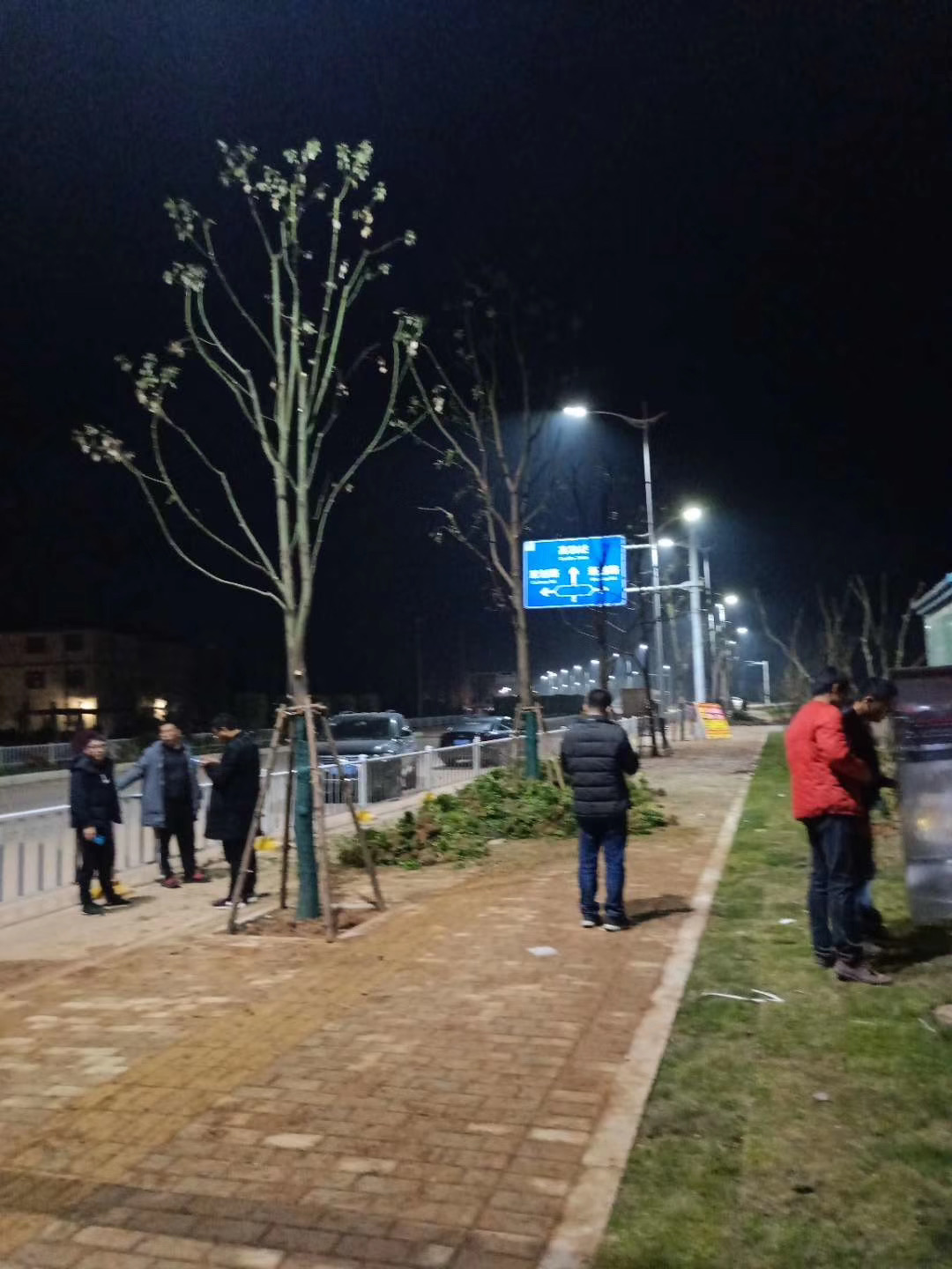 興國縣高鐵西站站前大道