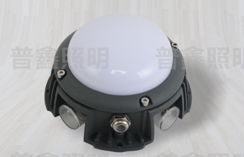 點(diǎn)光源系列 DGY-002