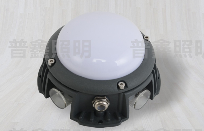 點(diǎn)光源系列 DGY-002