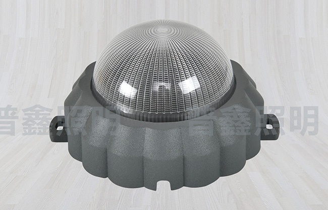 點(diǎn)光源系列 DGY-006 點(diǎn)光源系列 DGY-006