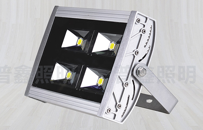 隧道燈系列 SDD-016